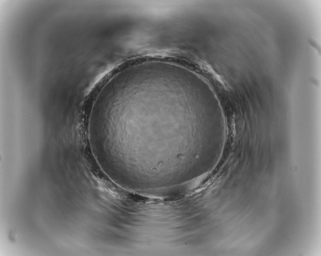 X0000094371256200711021523
