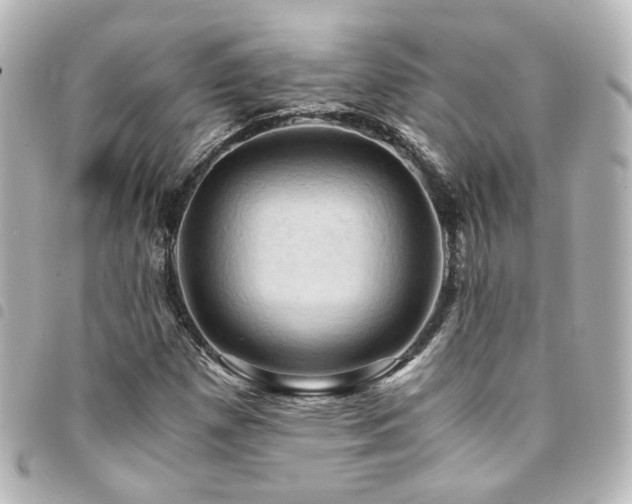 X0000094371257200711021523