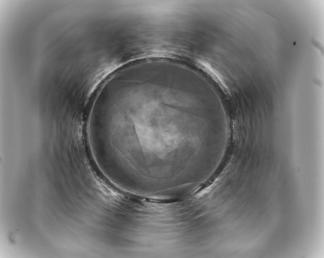 X0000094371260200711021523