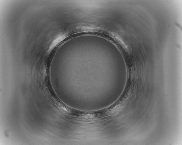 X0000094371261200711021523