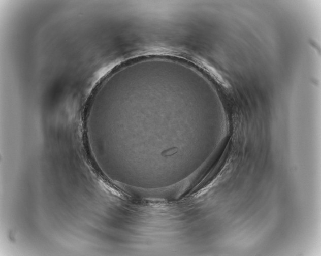 X0000094371264200711021523