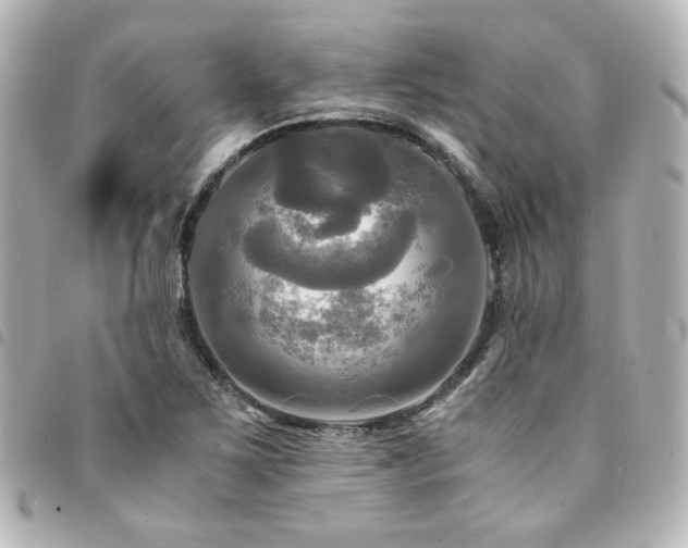 X0000094371267200711021523