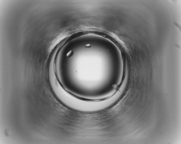 X0000094371269200711021523