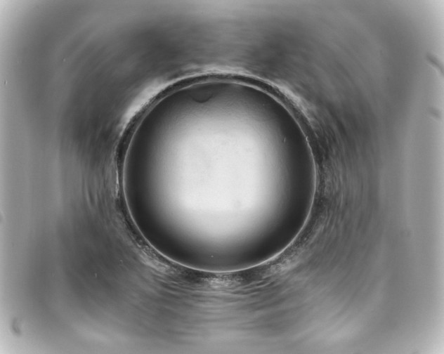 X0000094371271200711021523