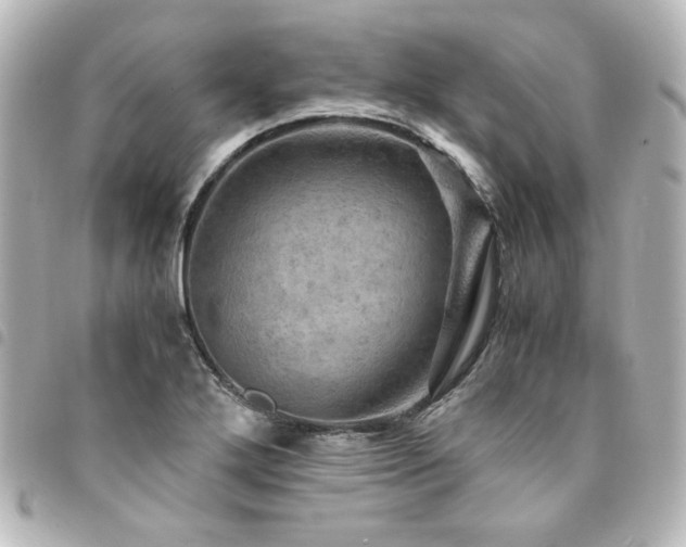 X0000094371272200711021522