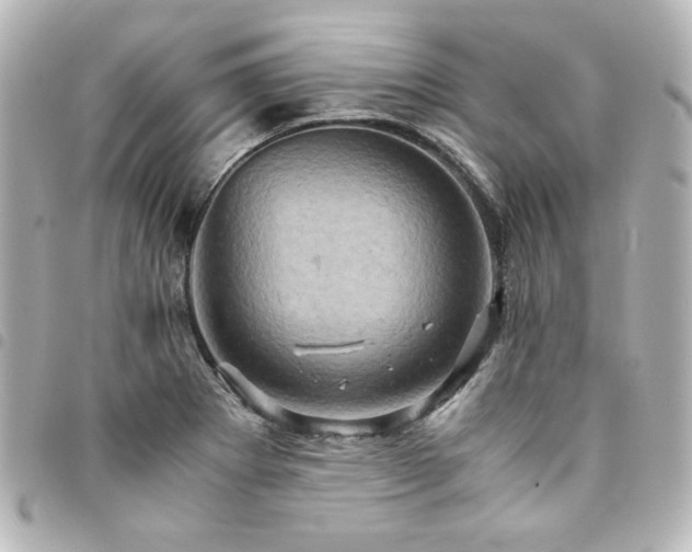 X0000094371273200711021522