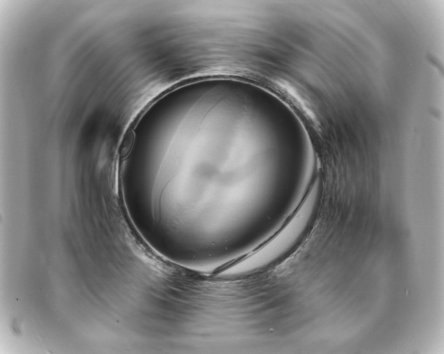 X0000094371276200711021522