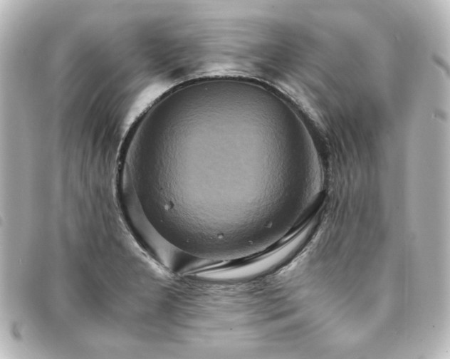 X0000094371277200711021522