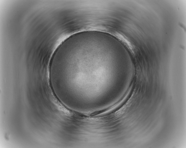 X0000094371280200711021522