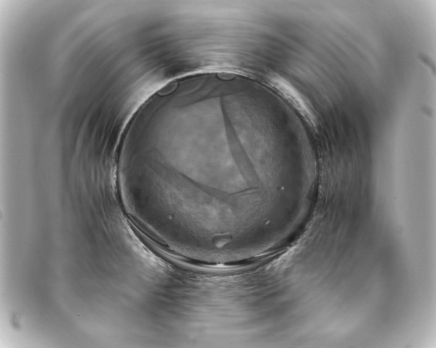 X0000094371284200711021522
