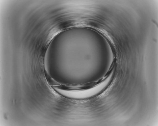 X0000094371289200711021522