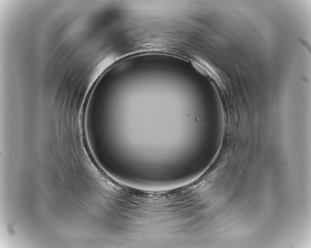 X0000094371291200711021522