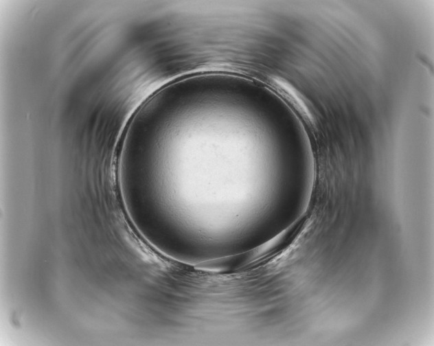 X0000094371292200711021522