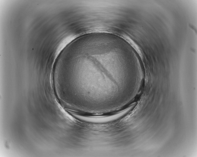 X0000094371293200711021522