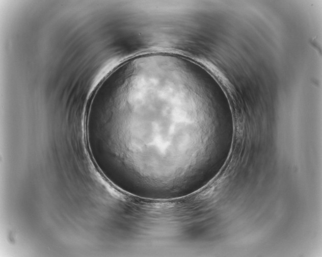 X0000094371294200711021522