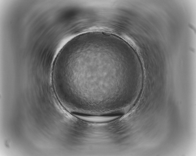 X0000094371296200711021522