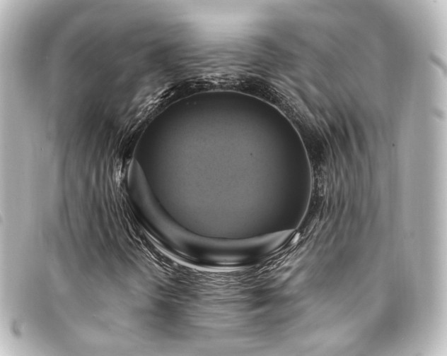 X0000094371298200711021521