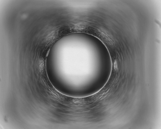 X0000094371299200711021521