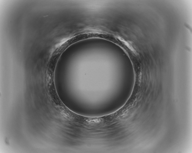 X0000094371303200711021522