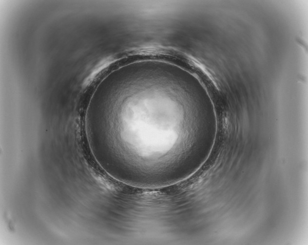X0000094371304200711021522