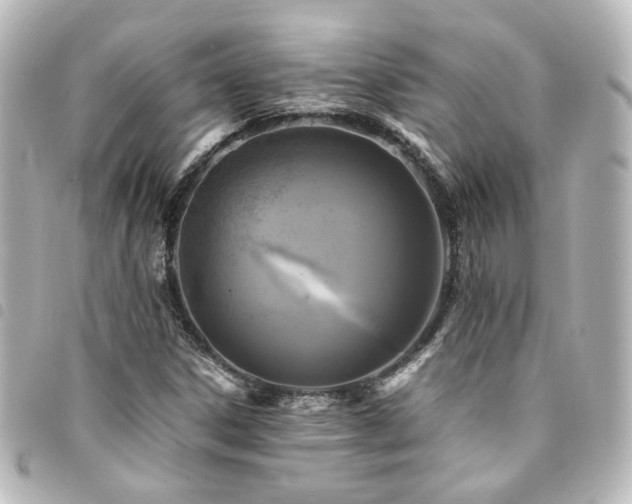 X0000094371306200711021522