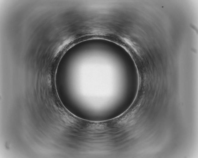 X0000094371307200711021522