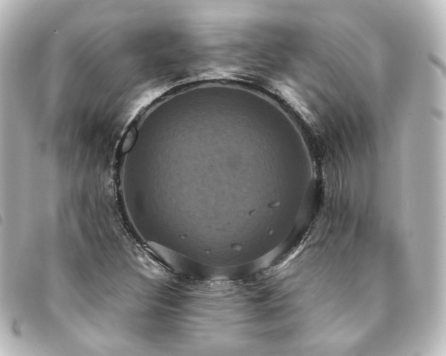 X0000094371308200711021522