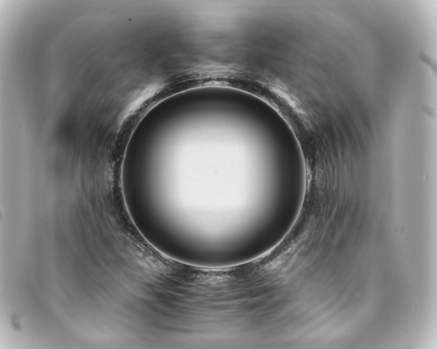 X0000094371309200711021522
