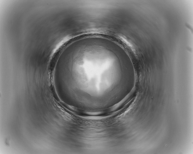 X0000094371310200711021522