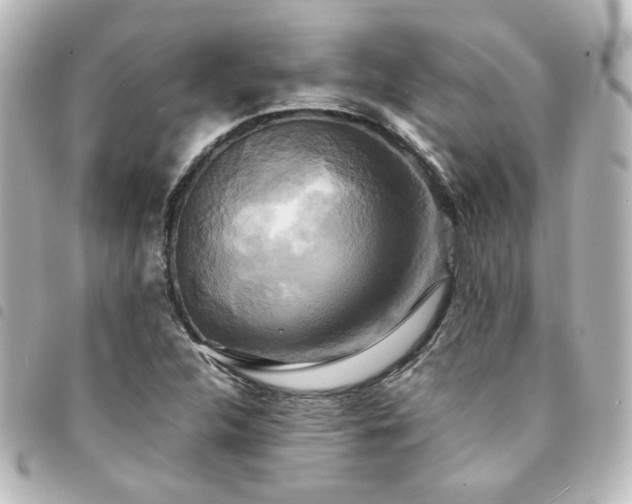 X0000094371312200711021522