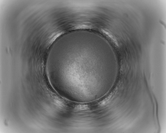 X0000094371313200711021522