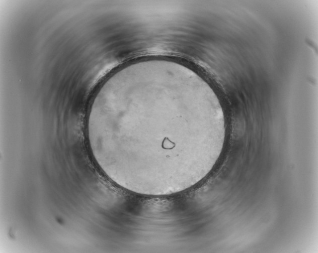 X0000094371314200711021522