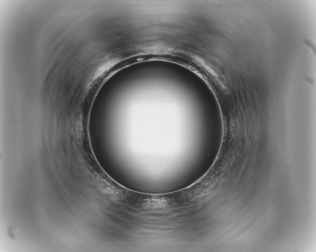 X0000094371315200711021522