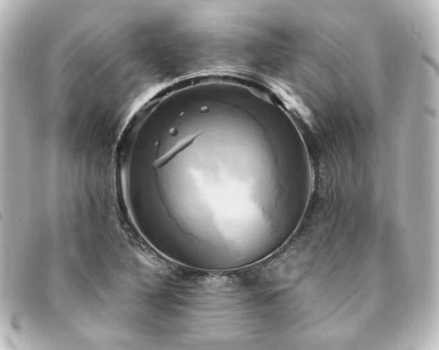 X0000094371316200711021522
