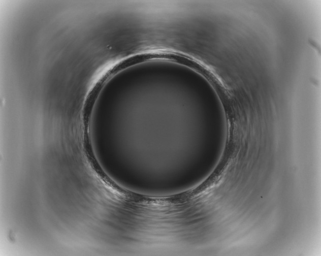X0000094371319200711021522