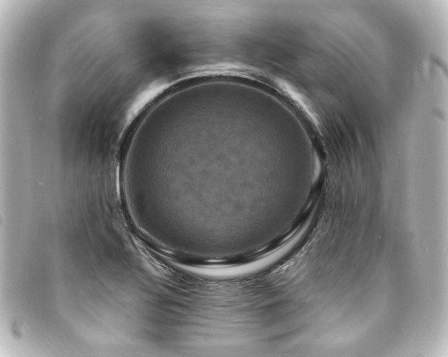 X0000094371320200711021522