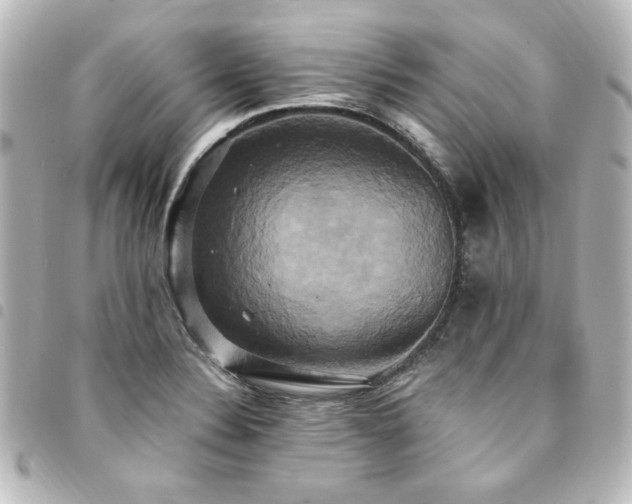 X0000094371324200711021522