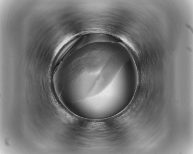X0000094371325200711021522