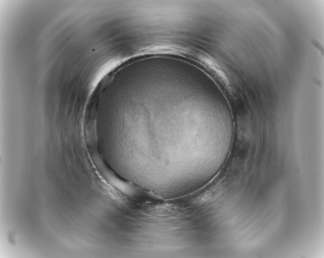 X0000094371328200711021522