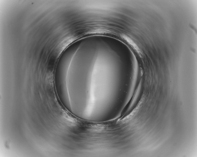 X0000094371329200711021522