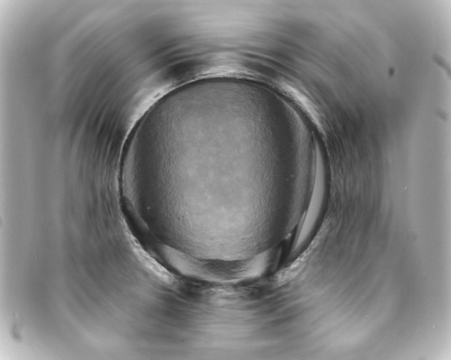 X0000094371330200711021522
