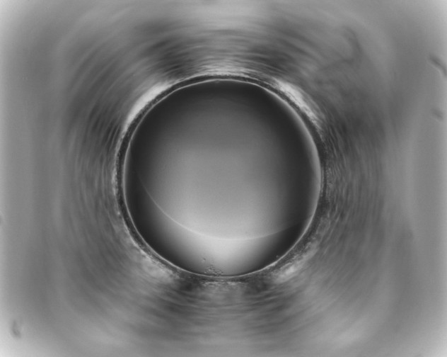 X0000094371331200711021522