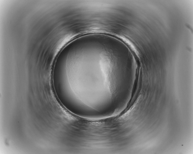 X0000094371333200711021522