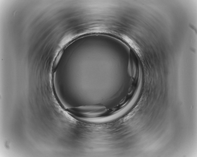X0000094371334200711021522