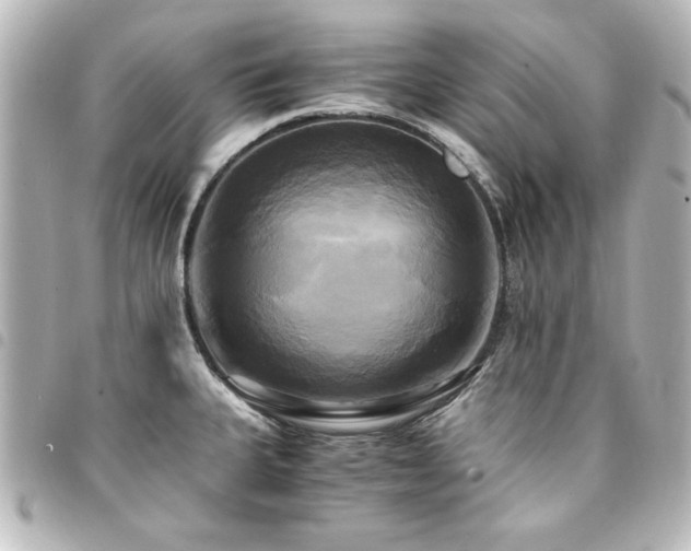 X0000094371335200711021522