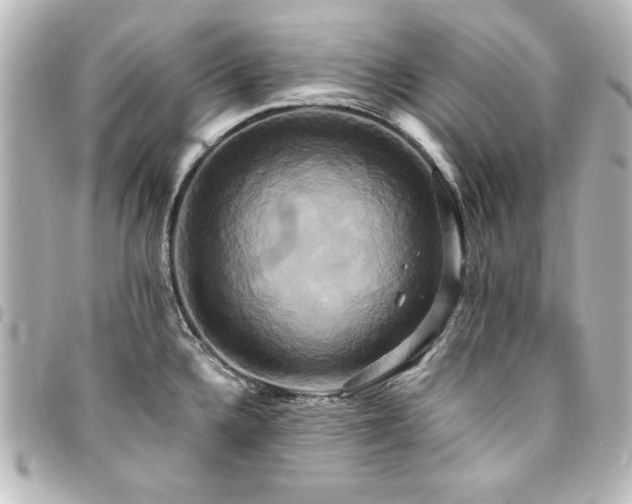 X0000094371336200711021522
