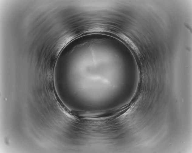 X0000094371337200711021522