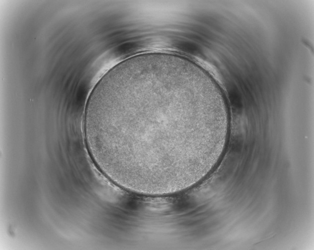 X0000094371338200711021522