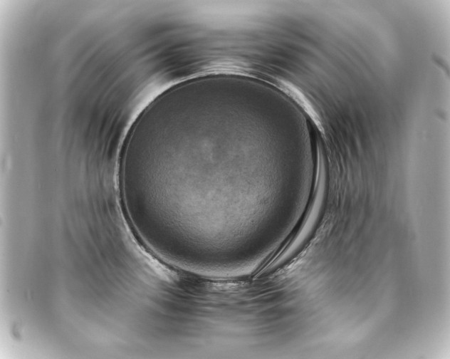 X0000094371339200711021522