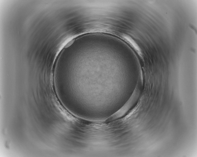 X0000094371340200711021522
